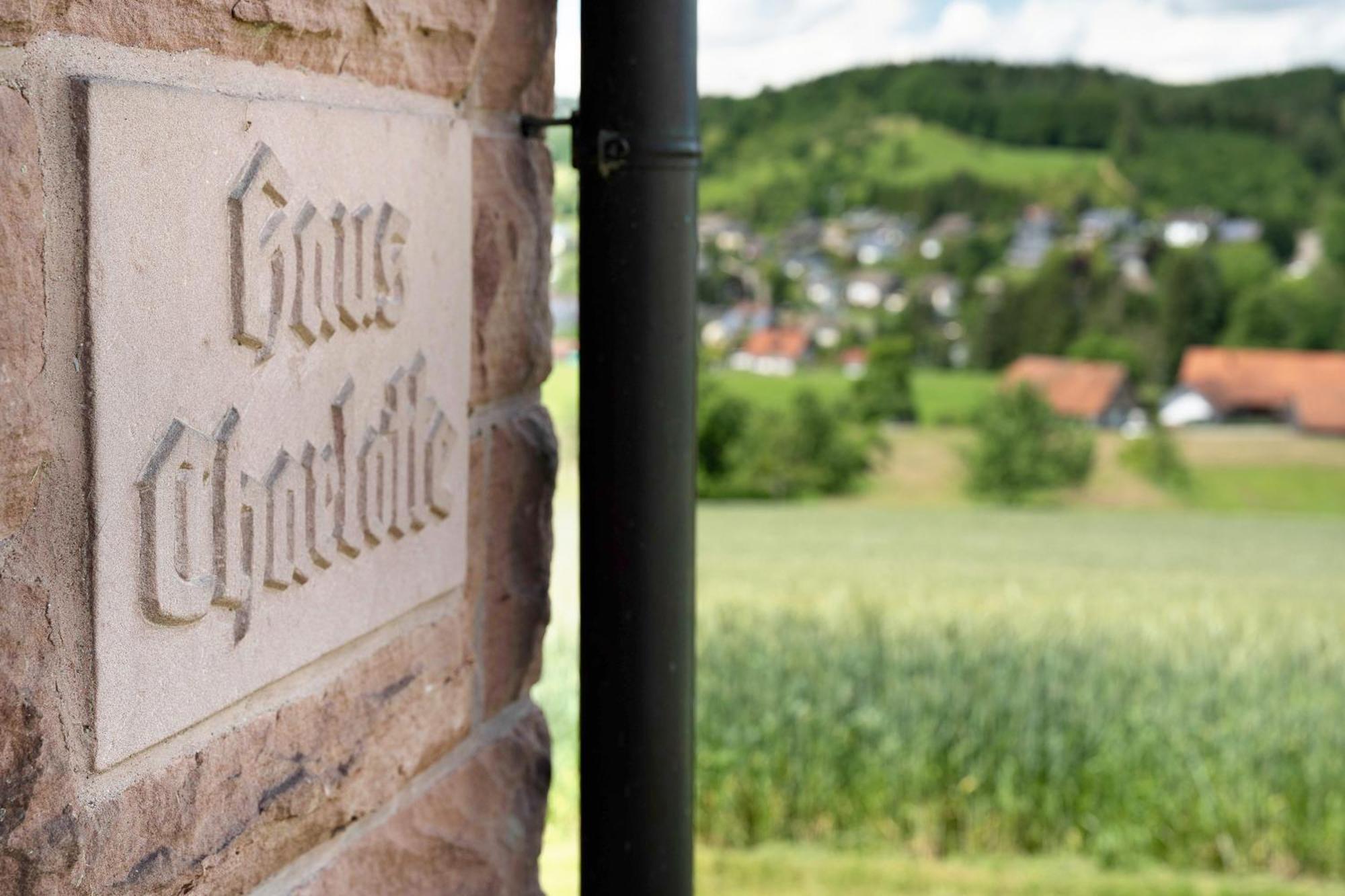Ferienhaus Charlotte Zell am Harmersbach Bagian luar foto